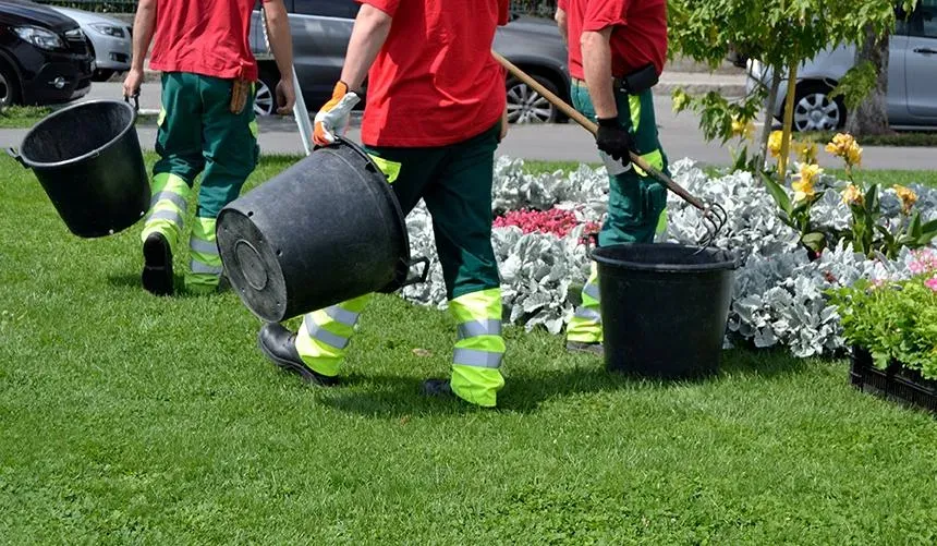 Entretien d'espaces verts à Auffay